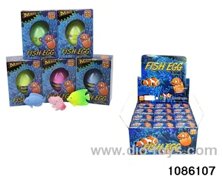 tropical fish in 12pcs display box