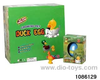 duckling egg  in 12pcs display box