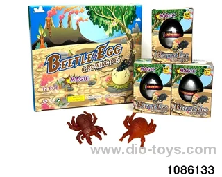 beetles in 12pcs display box