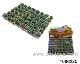 ball cactus in 48pcs display box