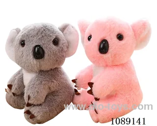 koala