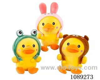 Hatted duck