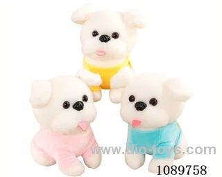 Little White Dog