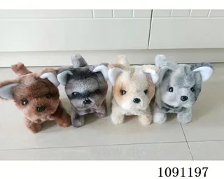 B/O toys