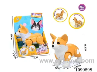 B/O dog