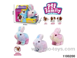 Electric Plush Toys in color box