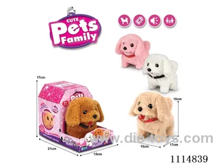 B/O pet