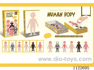 Magnetic Costume Character Costume (Human body)