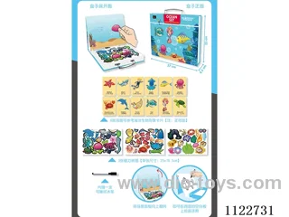 Marine magnetic puzzle