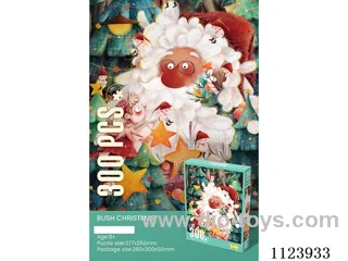 300-piece puzzle