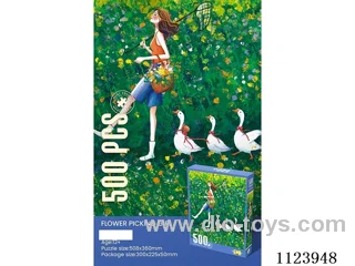 500 piece puzzle
