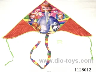 160CM kite