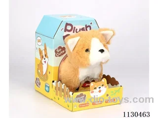 Colourful pet family Colourful house (Corgi)