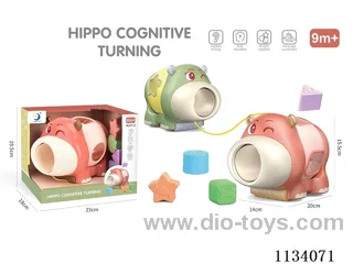 Hippo Spinning