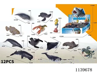 12 Marine Animals