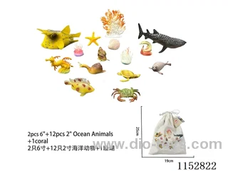 Ocean