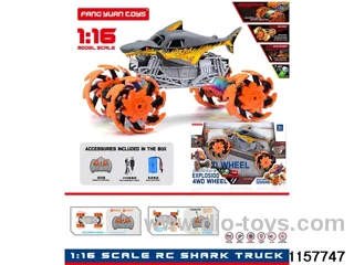 1:16 RC car