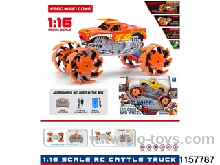 1:16 RC car