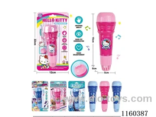 Echo Mic