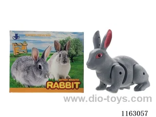 B/O rabbit