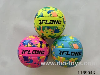 Volleyball