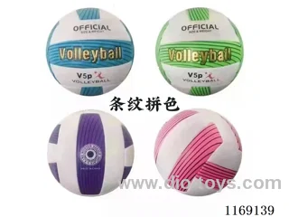 Volleyball