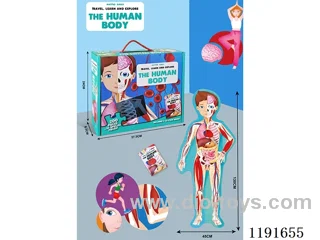 Human Body Jigsaw 200PCS