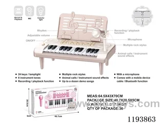 24 Keys Multifunctional Electronic Piano