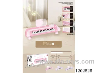 large 37-key electronic organ can be played and sung