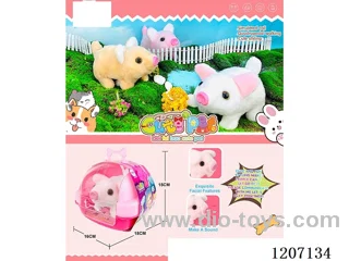 Electric pig