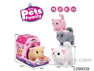 B/O pet(4colour mix)