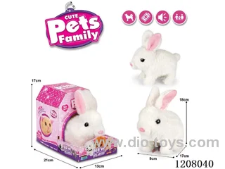 B/O pet