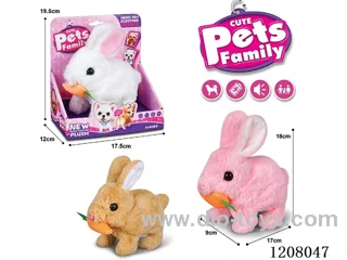 B/O pet(3colour mix)