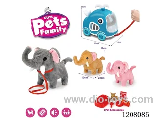 B/O pet