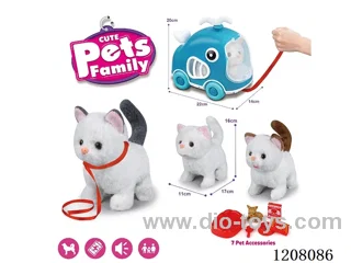 B/O pet