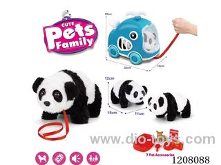 B/O pet