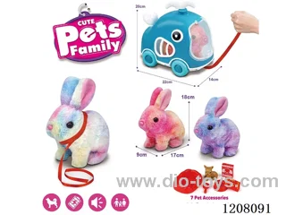 B/O pet