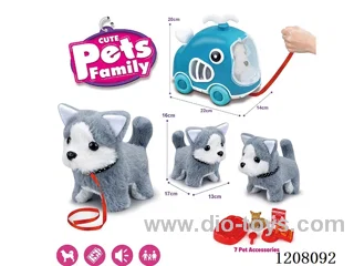 B/O pet