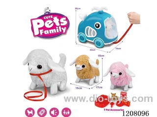 B/O pet