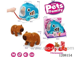 B/O pet