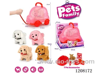 B/O pet(4colour mix)