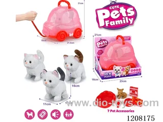B/O pet(4colour mix)