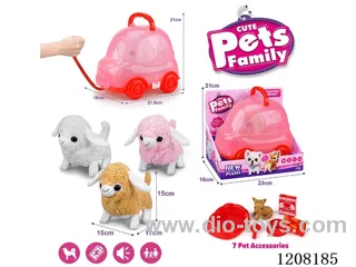 B/O pet(3colour mix)