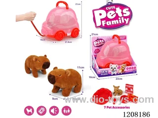 B/O pet