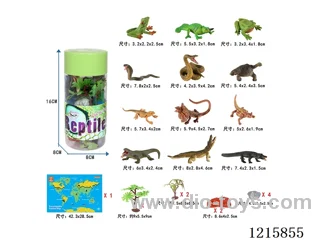 4 inch Crawling Set