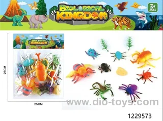 insect