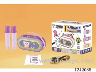 Dual Microphone Karaoke Set