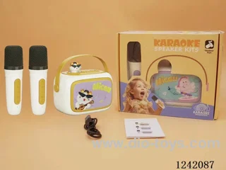 Dual Microphone Karaoke Set