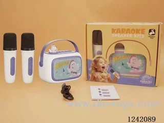 Dual Microphone Karaoke Set