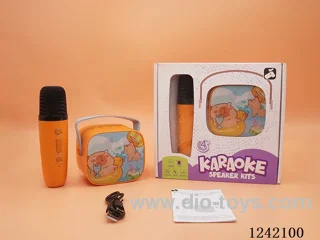 Single Microphone Karaoke Set